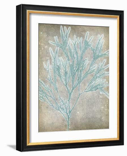 Spa Seaweed I-Jennifer Goldberger-Framed Art Print