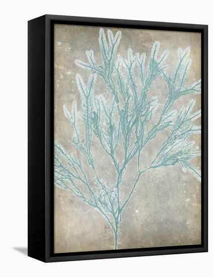 Spa Seaweed I-Jennifer Goldberger-Framed Stretched Canvas