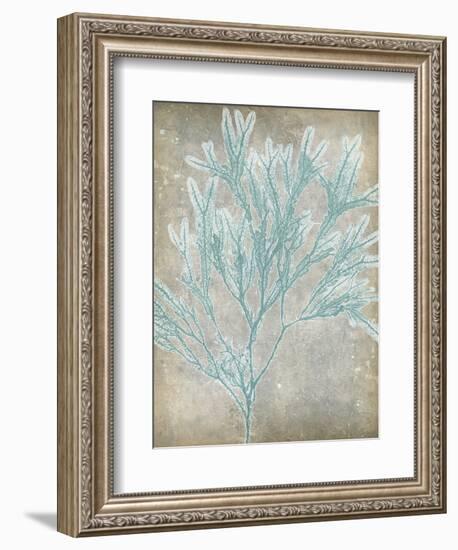 Spa Seaweed I-Jennifer Goldberger-Framed Art Print