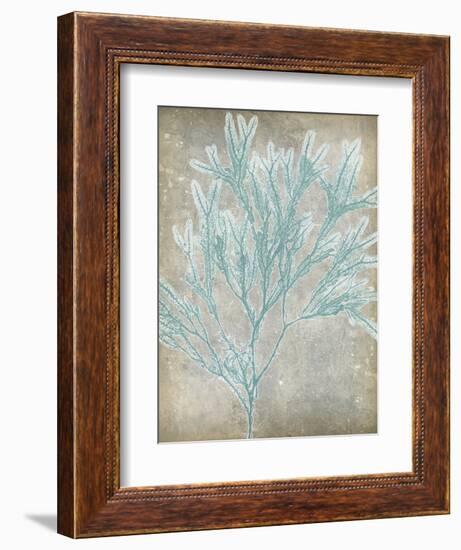 Spa Seaweed I-Jennifer Goldberger-Framed Art Print