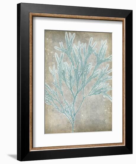 Spa Seaweed I-Jennifer Goldberger-Framed Art Print