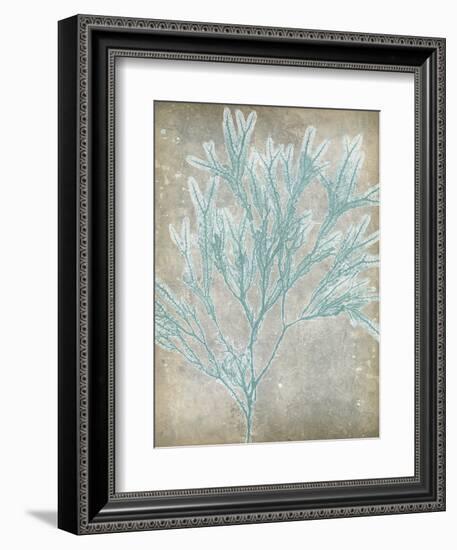 Spa Seaweed I-Jennifer Goldberger-Framed Art Print