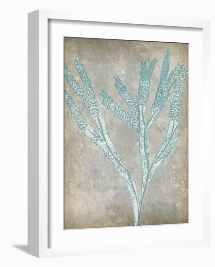 Spa Seaweed II-Jennifer Goldberger-Framed Art Print