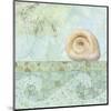 Spa Shells IV-NBL Studio-Mounted Art Print