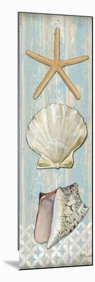 Spa Shells Vertical II-Paul Brent-Mounted Art Print