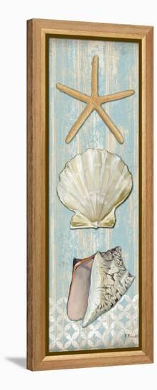 Spa Shells Vertical II-Paul Brent-Framed Stretched Canvas