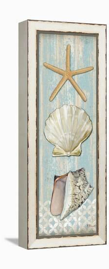 Spa Shells Vertical II-Paul Brent-Framed Stretched Canvas