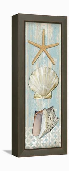 Spa Shells Vertical II-Paul Brent-Framed Stretched Canvas