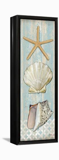 Spa Shells Vertical II-Paul Brent-Framed Stretched Canvas