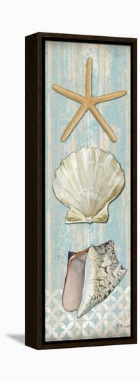 Spa Shells Vertical II-Paul Brent-Framed Stretched Canvas