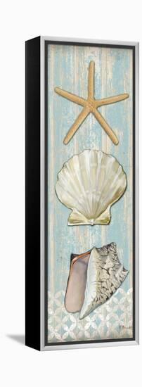 Spa Shells Vertical II-Paul Brent-Framed Stretched Canvas