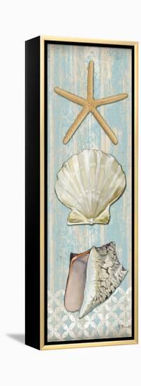 Spa Shells Vertical II-Paul Brent-Framed Stretched Canvas