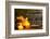 Spa Still Life with Aromatic Candles-Kesu01-Framed Photographic Print