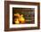 Spa Still Life with Aromatic Candles-Kesu01-Framed Photographic Print