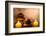 Spa Still Life with Aromatic Candles-Kesu01-Framed Photographic Print