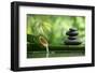 Spa Still Life With Bamboo Fountain And Zen Stone-Liang Zhang-Framed Photographic Print