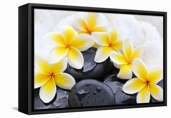 Spa Still Life with Frangipani Flowers,White Towel and Zen Stone-Liang Zhang-Framed Premier Image Canvas