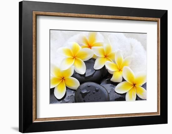 Spa Still Life with Frangipani Flowers,White Towel and Zen Stone-Liang Zhang-Framed Photographic Print