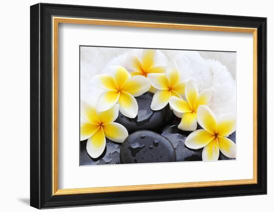 Spa Still Life with Frangipani Flowers,White Towel and Zen Stone-Liang Zhang-Framed Photographic Print