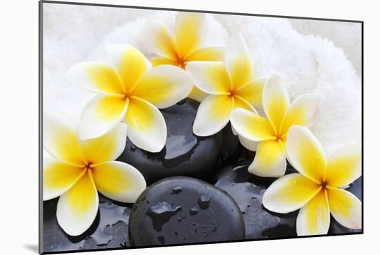 Spa Still Life with Frangipani Flowers,White Towel and Zen Stone-Liang Zhang-Mounted Photographic Print