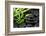 Spa Still Life with Hot Stones and Bamboo-egal-Framed Photographic Print