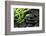 Spa Still Life with Hot Stones and Bamboo-egal-Framed Photographic Print