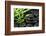 Spa Still Life with Hot Stones and Bamboo-egal-Framed Photographic Print