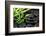 Spa Still Life with Hot Stones and Bamboo-egal-Framed Photographic Print