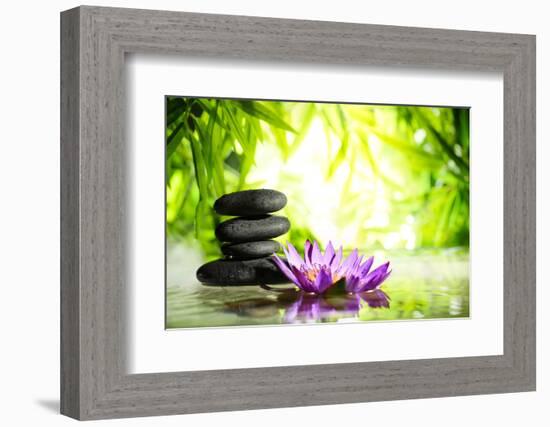 Spa Still Life with Lotus and Zen Stone on Water,Bamboo Background.-Liang Zhang-Framed Photographic Print