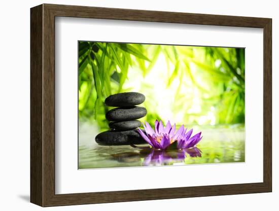 Spa Still Life with Lotus and Zen Stone on Water,Bamboo Background.-Liang Zhang-Framed Photographic Print