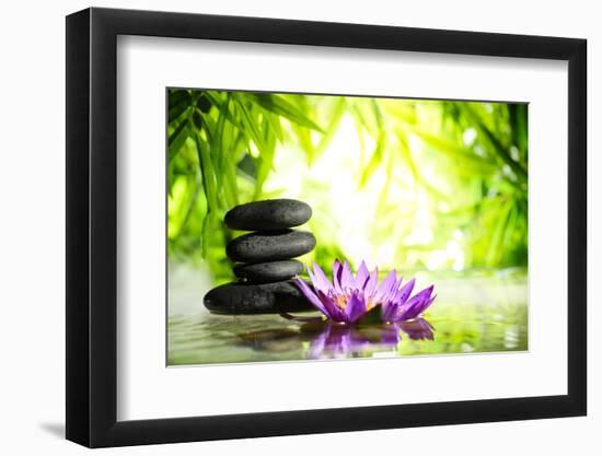 Spa Still Life with Lotus and Zen Stone on Water,Bamboo Background.-Liang Zhang-Framed Photographic Print