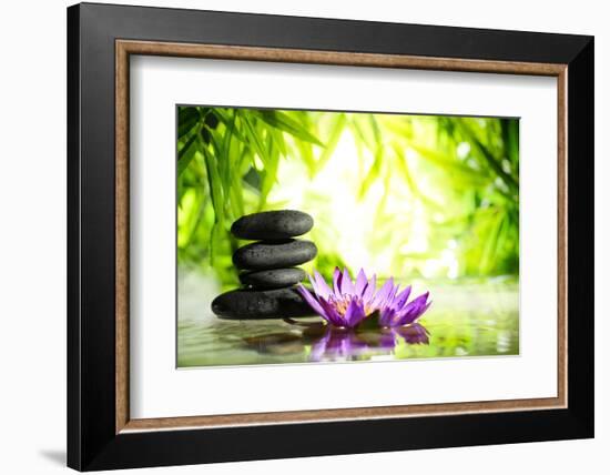 Spa Still Life with Lotus and Zen Stone on Water,Bamboo Background.-Liang Zhang-Framed Photographic Print