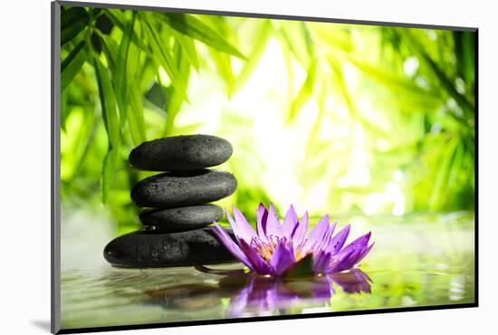 Spa Still Life with Lotus and Zen Stone on Water,Bamboo Background.-Liang Zhang-Mounted Photographic Print