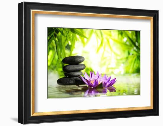 Spa Still Life with Lotus and Zen Stone on Water,Bamboo Background.-Liang Zhang-Framed Photographic Print