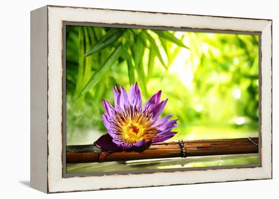 Spa Still Life with Lotus Float on Water,Bamboo Background.-Liang Zhang-Framed Premier Image Canvas