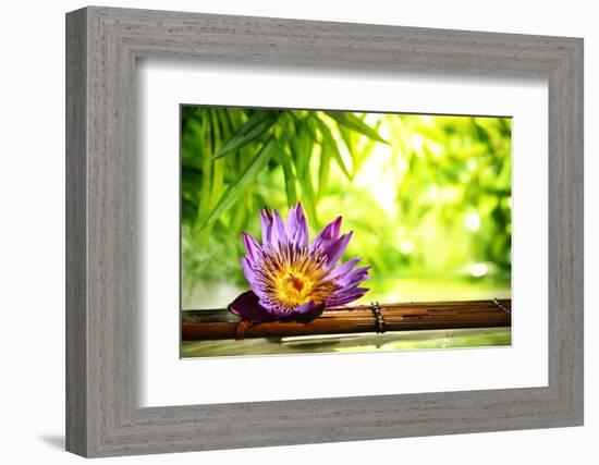 Spa Still Life with Lotus Float on Water,Bamboo Background.-Liang Zhang-Framed Photographic Print