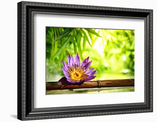 Spa Still Life with Lotus Float on Water,Bamboo Background.-Liang Zhang-Framed Photographic Print