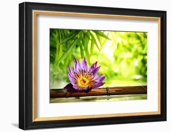 Spa Still Life with Lotus Float on Water,Bamboo Background.-Liang Zhang-Framed Photographic Print