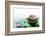 Spa Still Life with Lotus for Body Treatment-Liang Zhang-Framed Photographic Print