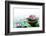 Spa Still Life with Lotus for Body Treatment-Liang Zhang-Framed Photographic Print