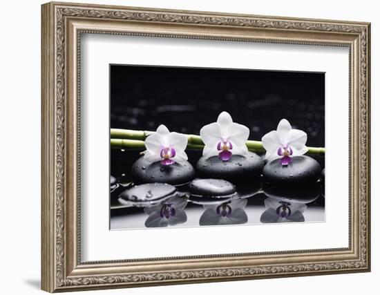 Spa Still Life with Three Orchid and Zen Stones with Bamboo Grove Reflection-crystalfoto-Framed Photographic Print