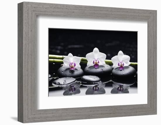 Spa Still Life with Three Orchid and Zen Stones with Bamboo Grove Reflection-crystalfoto-Framed Photographic Print
