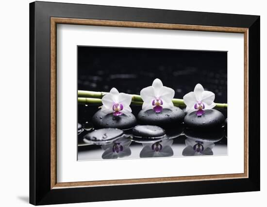 Spa Still Life with Three Orchid and Zen Stones with Bamboo Grove Reflection-crystalfoto-Framed Photographic Print