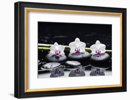 Spa Still Life with Three Orchid and Zen Stones with Bamboo Grove Reflection-crystalfoto-Framed Photographic Print