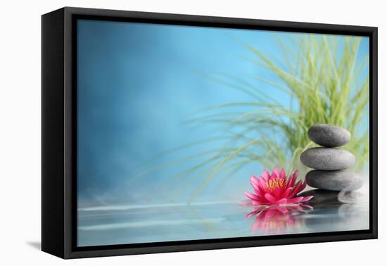 Spa Still Life with Water Lily and Zen Stone in a Serenity Pool-Sofiaworld-Framed Premier Image Canvas