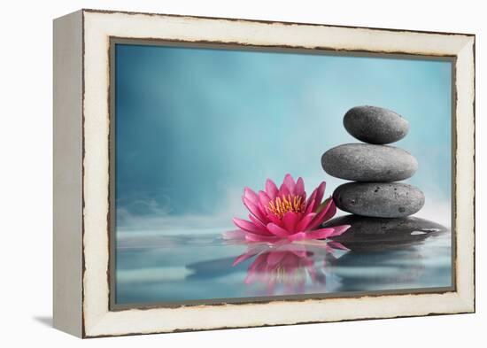 Spa Still Life with Water Lily and Zen Stone in a Serenity Pool-Liang Zhang-Framed Premier Image Canvas