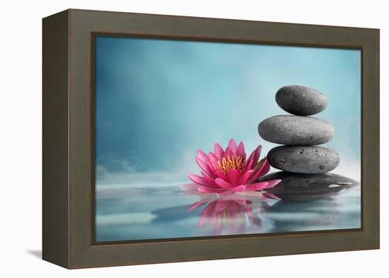 Spa Still Life with Water Lily and Zen Stone in a Serenity Pool-Liang Zhang-Framed Premier Image Canvas