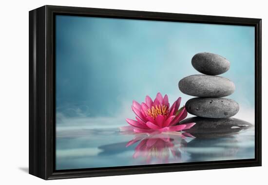 Spa Still Life with Water Lily and Zen Stone in a Serenity Pool-Liang Zhang-Framed Premier Image Canvas