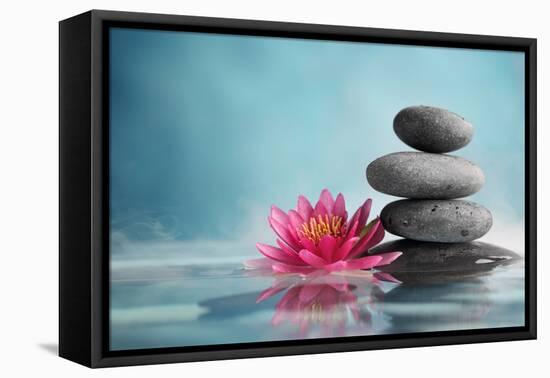 Spa Still Life with Water Lily and Zen Stone in a Serenity Pool-Liang Zhang-Framed Premier Image Canvas