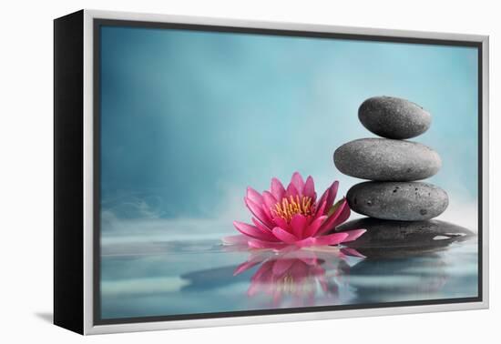 Spa Still Life with Water Lily and Zen Stone in a Serenity Pool-Liang Zhang-Framed Premier Image Canvas